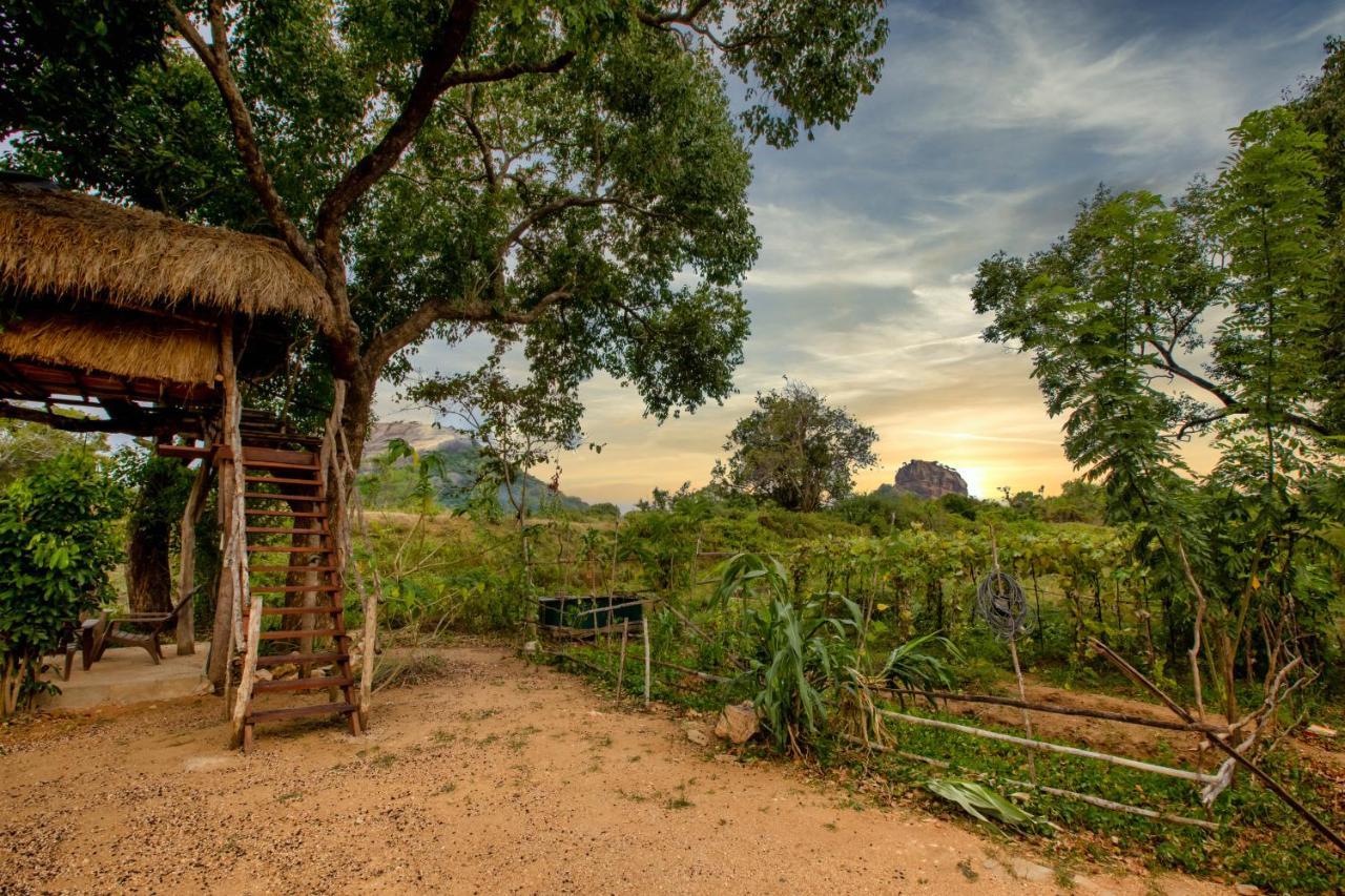 Sigiriya King'S Resort Екстериор снимка