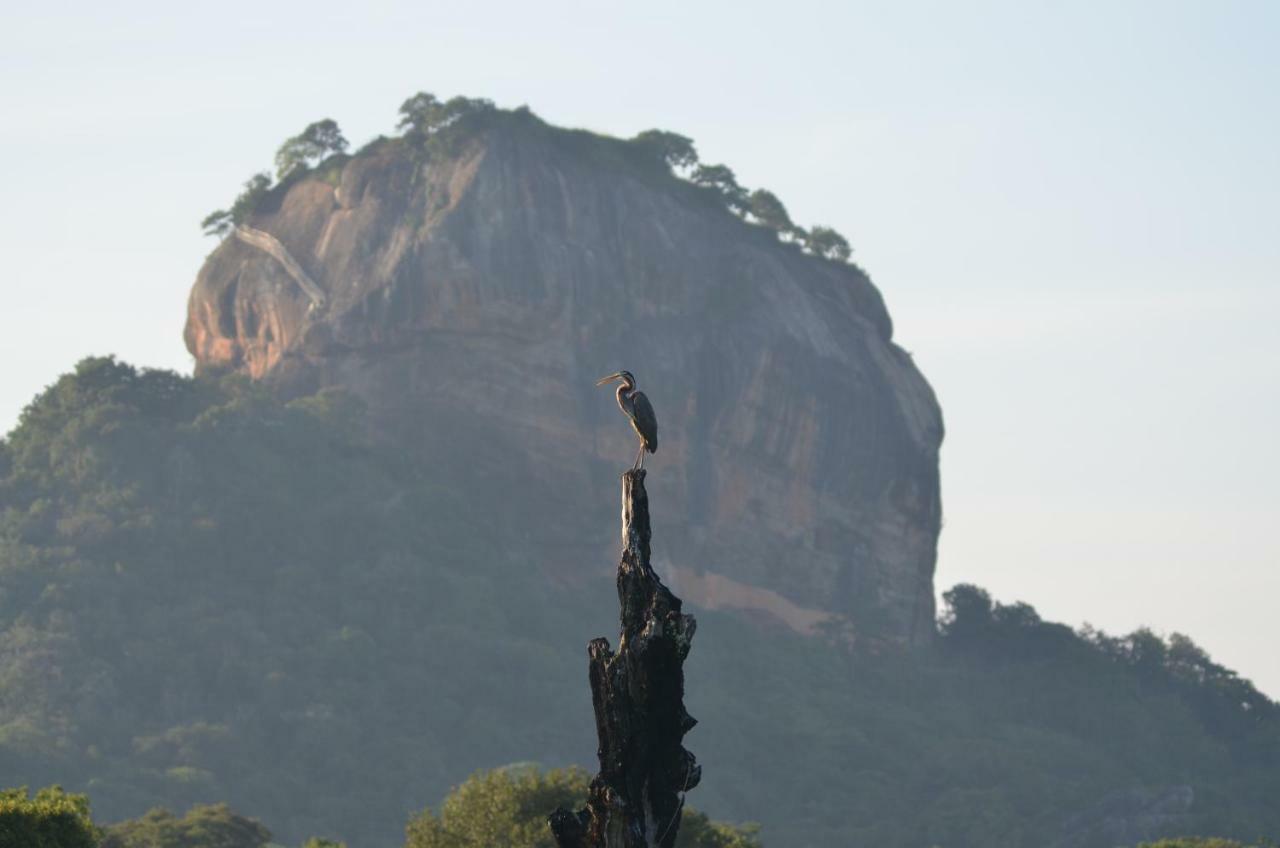 Sigiriya King'S Resort Екстериор снимка