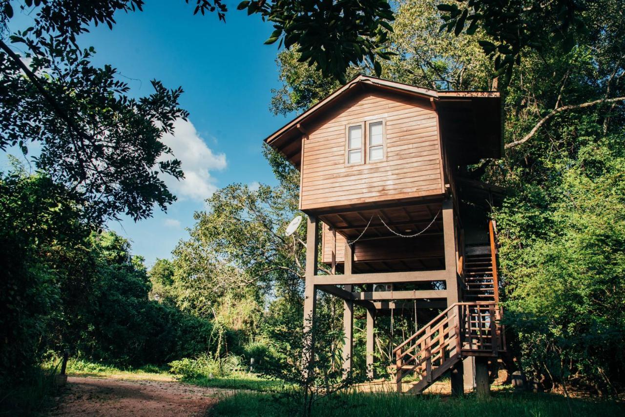 Sigiriya King'S Resort Екстериор снимка